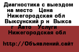 Диагностика с выездом на место › Цена ­ 300 - Нижегородская обл., Выксунский р-н, Выкса г. Авто » Услуги   . Нижегородская обл.